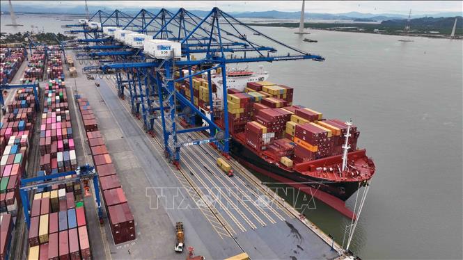 Handling cargo at the Hai Phong International Container Terminal in Cat Hai district, the northern city of Hai Phong. VNA Photo: Vũ Sinh