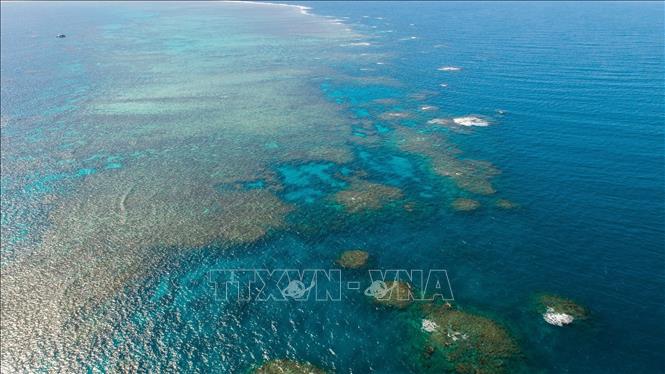 Rạn san hô Great Barrier ở Queensland, Australia. Ảnh: THX/TTXVN
