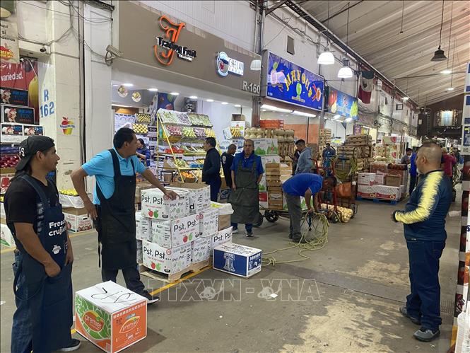 Tại chợ đầu mối Central de Abasto có quy mô lớn nhất thế giới với diện tích 3,7km2 ở ngoại ô thủ đô Mexico City. Ảnh: Phương Lan- PVTTXVN tại Mexico 