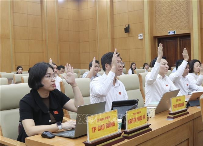 Các đại biểu biểu quyết thông qua nghị quyết. Ảnh: Chu Hiệu-TTXVN