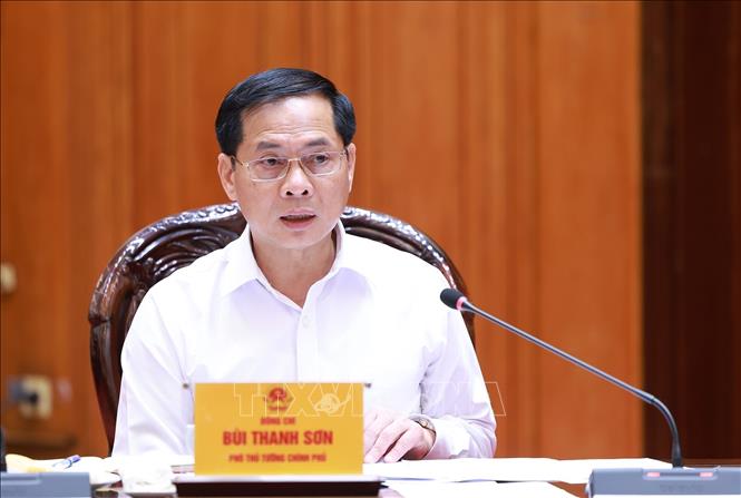 Phó Thủ tướng, Bộ trưởng Bộ Ngoại giao Bùi Thanh Sơn phát biểu. Ảnh: Dương Giang-TTXVN