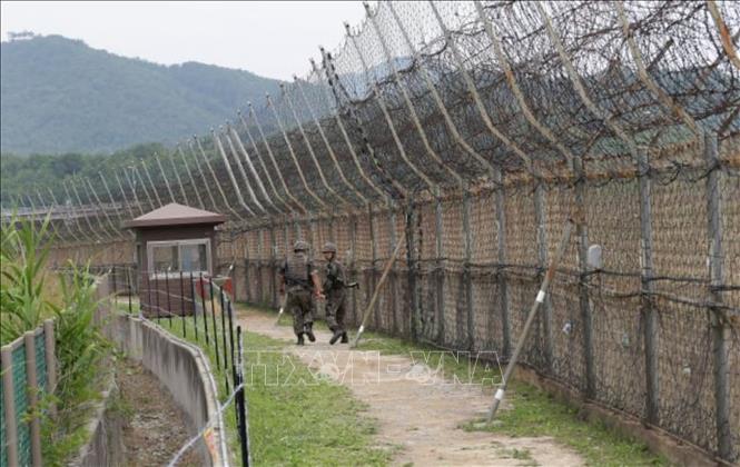 Binh sĩ Hàn Quốc tuần tra tại Khu phi quân sự liên Triều ở huyện Goseong, tỉnh Gangwon. Ảnh: AP/TTXVN  