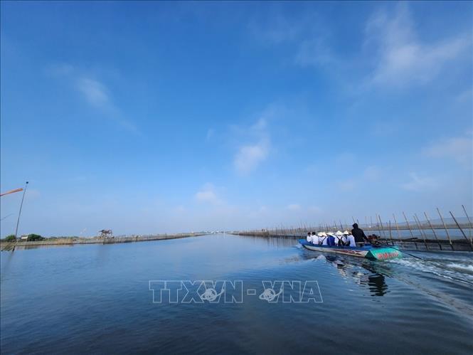 Khung cảnh bình yên vùng đầm phá Tam Giang - Cầu Hai xứ Huế. Ảnh: Mai Trang - TTXVN 