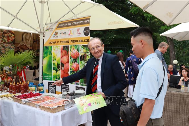 The event draws attention from local travel businesses and visitors. VNA Photo: Việt Thắng