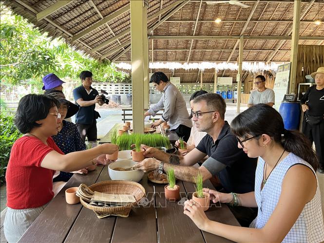 Trải nghiệm làm cây cảnh từ cây lúa tại Làng hữu cơ Patom, tỉnh Nakhon Pathom. Ảnh: Đỗ Sinh - PV TTXVN tại Thái Lan