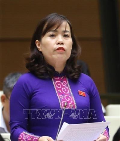 Bà Lý Thị Lan, Ủy viên Ban Thường vụ Tỉnh ủy, đại biểu Quốc hội khóa XV, giữ chức vụ Trưởng Đoàn đại biểu Quốc hội hoạt động chuyên trách khóa XV tỉnh Tuyên Quang. Ảnh: TTXVN