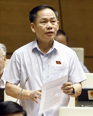 Ông Trần Đình Gia, Tỉnh ủy viên, Phó Trưởng Đoàn đại biểu Quốc hội chuyên trách tỉnh Hà Tĩnh phụ trách Đoàn đại biểu Quốc hội khóa XV tỉnh Hà Tĩnh. Ảnh: TTXVN