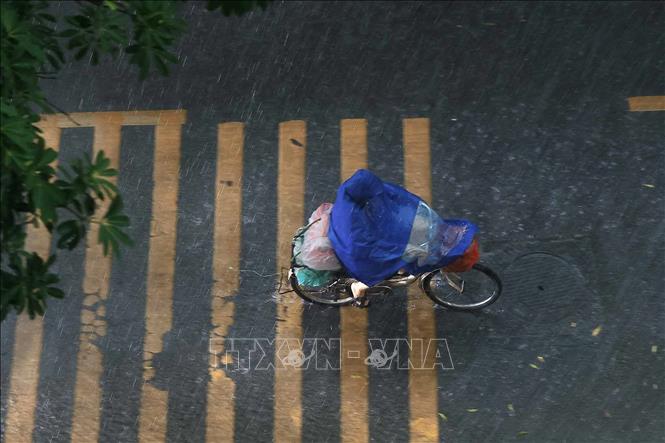 Cơn mưa lớn bất ngờ chiều 30/6. Ảnh: Minh Quyết - TTXVN