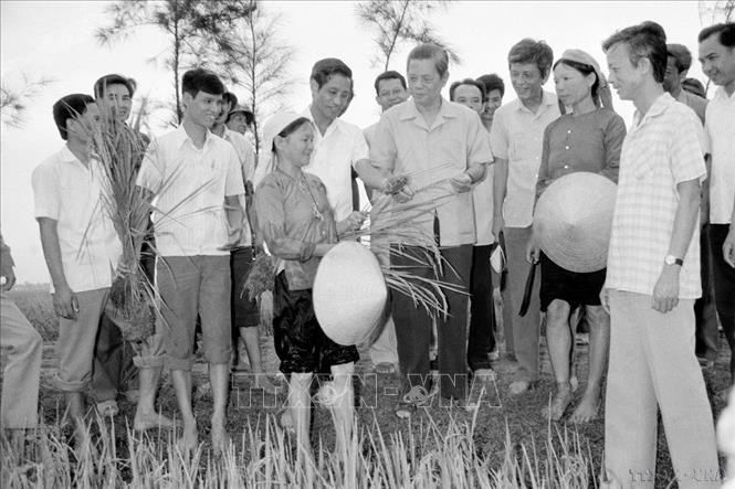 Tổng Bí thư Nguyễn Văn Linh thăm cánh đồng lúa Hợp tác xã Hải Vân, huyện Hải Hậu trong chuyến thăm và làm việc tại tỉnh Hà Nam Ninh (25 - 29/5/1988). Ảnh: Xuân Lâm - TTXVN