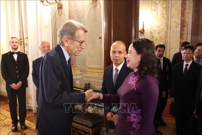Vice President Vo Thi Anh Xuan meets Senator Giulio Terzi, President of the Permanent Senate Commission of EU Affairs. VNA Photo