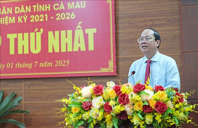 Bí thư Tỉnh ủy Cà Mau Nguyễn Hồ Hải phát biểu tại kỳ họp. Ảnh: Huỳnh Anh - TTXVN 