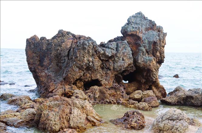Khối đá màu xám mang dáng hình một chú cua khổng lồ vừa trồi lên khỏi mặt biển để vào bờ. Ảnh: Xuân Tiến - TTXVN 