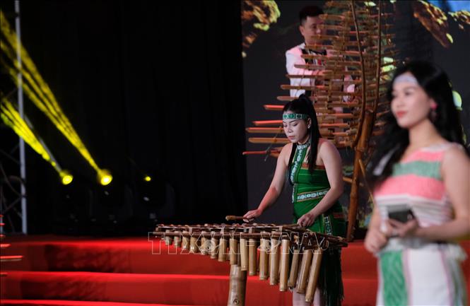 Một tiết mục biểu diễn nhạc cụ dân tộc trong chương trình nghệ thuật. Ảnh: Nguyễn Dũng - TTXVN 