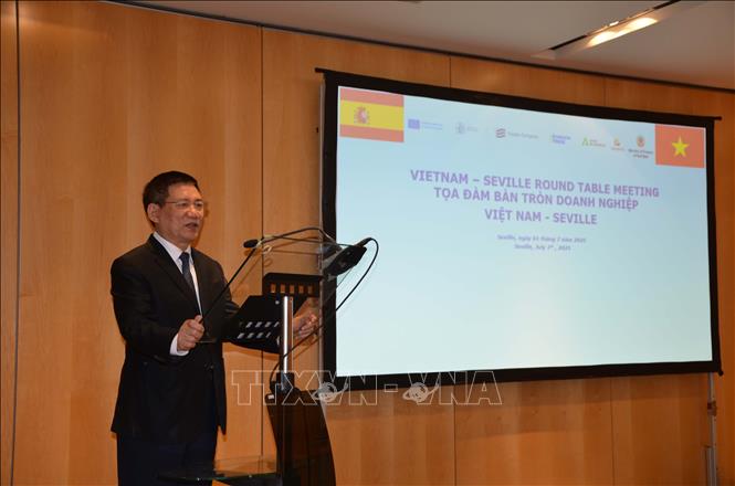 Phó Thủ tướng Chính phủ Hồ Đức Phớc dự Tọa đàm doanh nghiệp Việt Nam - Vùng Seville, Tây Ban Nha. Ảnh: Ngọc Hiệp - PV TTXVN tại châu Âu