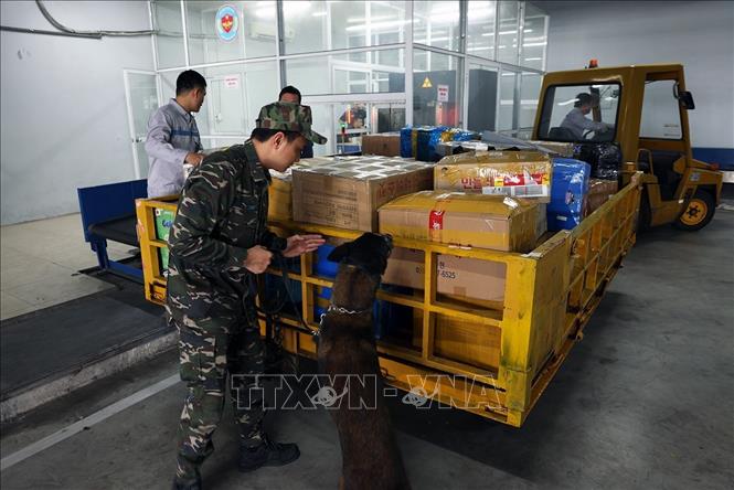 Lực lượng Hải quan Hải Phòng kiểm tra hành lý của khách nhập cảnh ở cảng hàng không Cát Bi, thành phố Hải phòng. Ảnh: Vũ Sinh - TTXVN