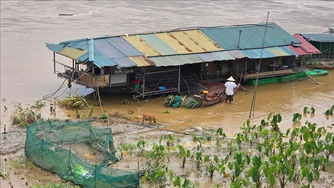 Nước lũ dâng cao vùi lấp, làm ngập úng sâu khu vực bãi bồi ven sông. Ảnh: TTXVN phát
