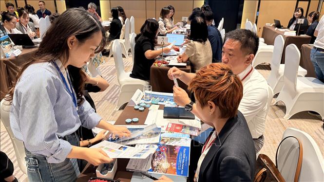 Doanh nghiệp lữ hành, du lịch Việt Nam - Nhật Bản trực tiếp gặp gỡ, trao đổi thông tin du lịch. Ảnh: Ngọc Bích – TTXVN.