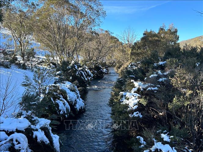 Tuyết phủ trắng hai bên bờ dòng sông băng tại khu núi tuyết Thredbo của Australia. Ảnh: Thanh Tú - PV TTXVN tại Australia