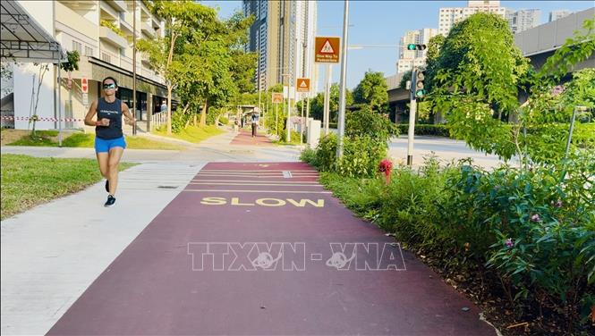 Người đi bộ được khuyến khích không đi vào làn đường sơn đỏ dành cho xe đạp. Ảnh: Đỗ Vân-PV TTXVN tại Singapore