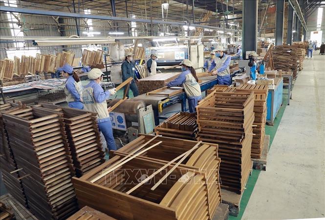 Gỗ và sản phẩm gỗ là một trong những mặt hàng xuất khẩu chủ lực có mức tăng trưởng cao trong 6 tháng đầu năm 2025. Ảnh: Vũ Sinh - TTXVN