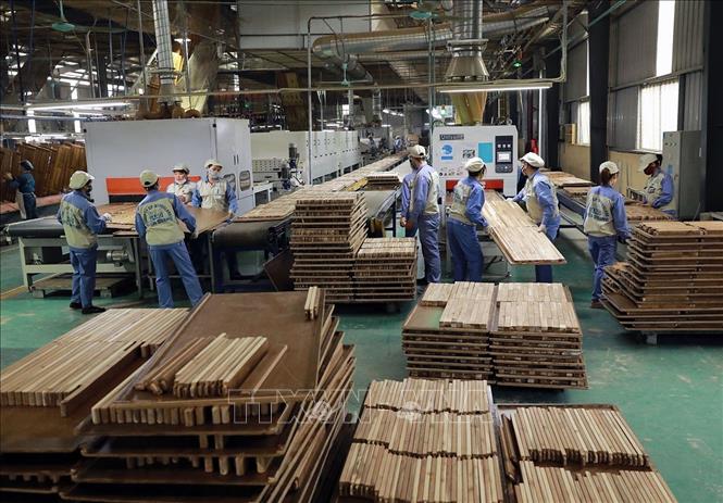 Gỗ và sản phẩm gỗ là một trong những mặt hàng xuất khẩu chủ lực có mức tăng trưởng cao trong 6 tháng đầu năm 2025. Ảnh: Vũ Sinh - TTXVN