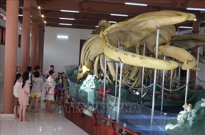 Hai bộ xương cá Ông là sản phẩm du lịch hấp dẫn du khách tham quan. Ảnh: Phạm Cường-TTXVN