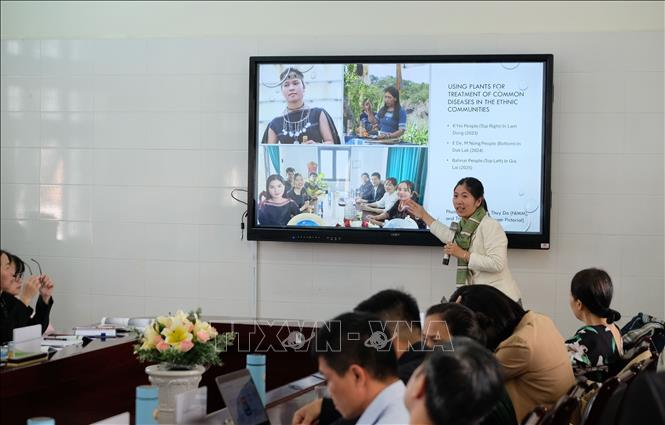Các chuyên gia đóng góp tham luận tại tọa đàm. Ảnh: Nguyễn Dũng – TTXVN 