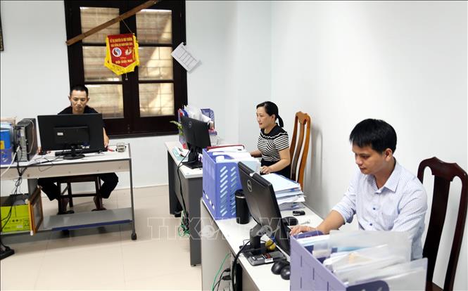 Cán bộ sở Nông nghiệp và Môi trường tỉnh Quảng Trị nhanh chóng làm quen công việc ở môi trường mới sau sáp nhập, không để công việc gián đoạn. Ảnh: Tá Chuyên - TTXVN 