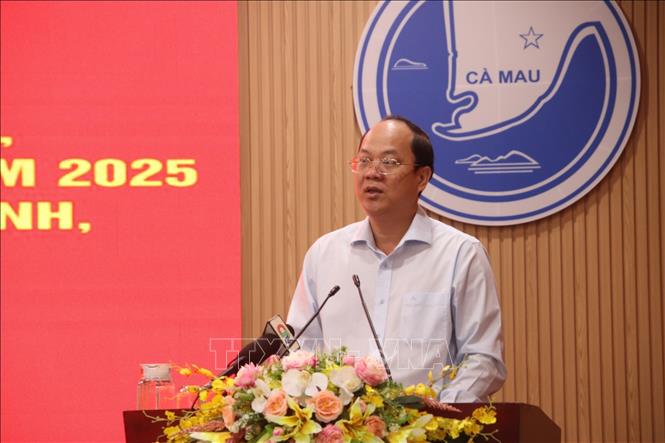 Bí thư Tỉnh ủy Cà Mau Nguyễn Hồ Hải phát biểu chỉ đạo. Ảnh: Kim Há -TTXVN
