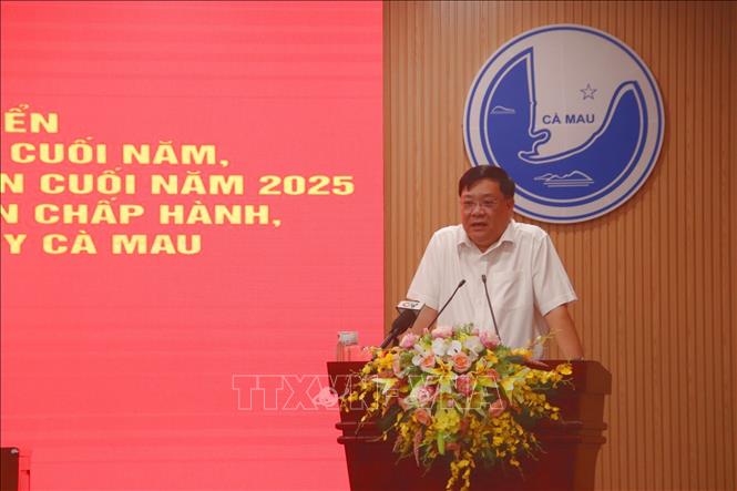 Phó Bí thư Tỉnh ủy, Chủ tịch UBND tỉnh Cà Mau Phạm Thành Ngại, trình bày báo cáo tại hội nghị. Ảnh: Kim Há - TTXVN
