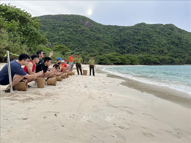 Tourists experience releasing baby turtles into the sea in Con Dao. VNA Photo: Huỳnh Sơn