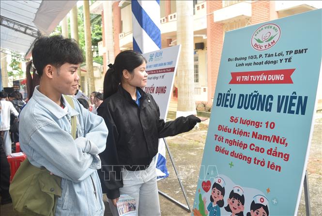 Sinh viên Trường Cao đẳng Y tế Đắk Lắk (phường Buôn Ma Thuột) quan tâm tìm kiếm việc làm phù hợp. Ảnh: Nguyên Dung – TTXVN