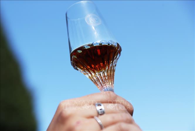 Rượu Remy Martin LOUIS XIII tại Cognac, Pháp. Ảnh: THX/TTXVN