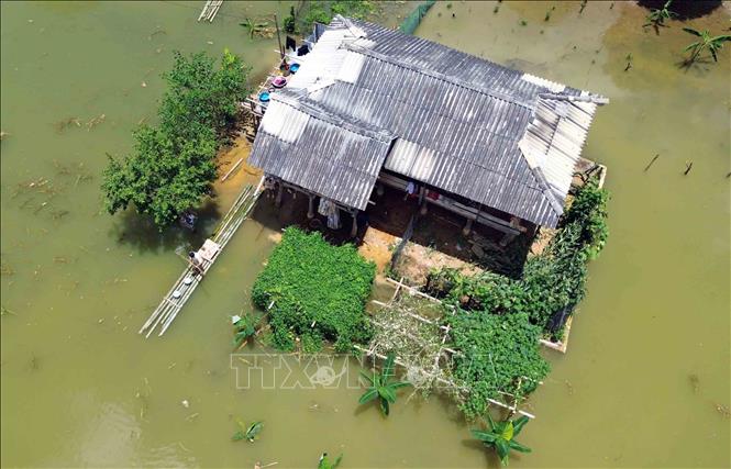 Đến chiều 4/7/2025, Bản Phiêng Nghè đã bị ngập úng trên diện tích khoảng 2ha; 15 hộ gia đình bị ảnh hưởng, trong đó, có 7 hộ gia đình phải di dời khẩn cấp. Ảnh: Quang Quyết - TTXVN