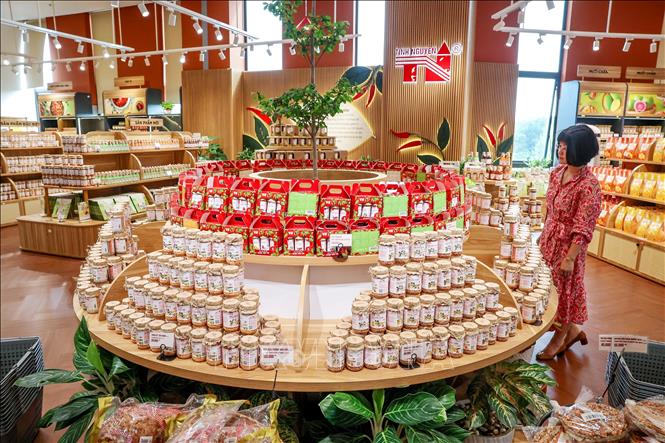 Du khách tham quan gian hàng đặc sản, nơi lưu giữ hương vị địa phương và mang đến những món quà đậm chất vùng đất thánh Tây Ninh. Ảnh: Giang Phương - TTXVN