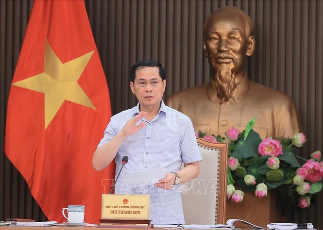 Phó Thủ tướng, Bộ trưởng Bộ Ngoại giao Bùi Thanh Sơn, Tổ trưởng Tổ Chỉ đạo số 6 phát biểu chỉ đạo. Ảnh: An Đăng - TTXVN