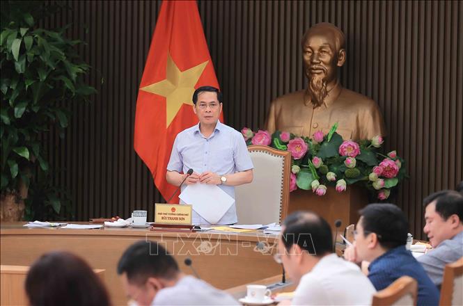 Phó Thủ tướng, Bộ trưởng Bộ Ngoại giao Bùi Thanh Sơn, Tổ trưởng Tổ Chỉ đạo số 6 phát biểu chỉ đạo. Ảnh: An Đăng - TTXVN
