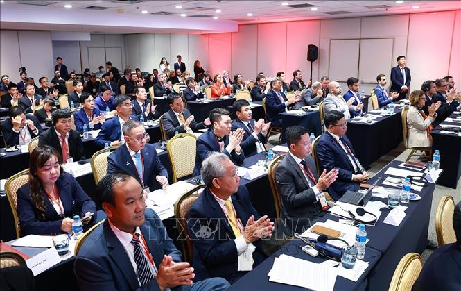 Các đại biểu tham dự Diễn đàn doanh nghiệp Việt Nam - Brazil. Ảnh: Dương Giang-TTXVN