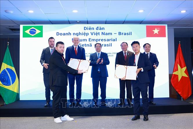 Thủ tướng Phạm Minh Chính chứng kiến trao Thoả thuận hợp tác về xuất khẩu lô hàng đầu tiên cá tra-basa và cá rô phi của Việt Nam sang Brazil. Ảnh: Dương Giang-TTXVN 