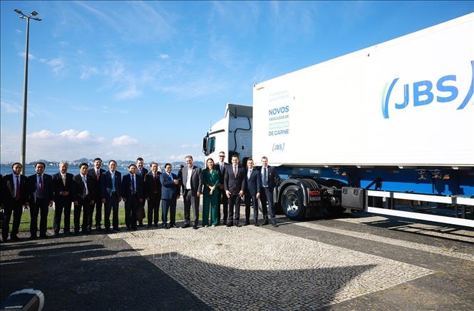 Prime Minister Pham Minh Chinh and delegates witness the export of the first container of Brazilian beef to Vietnam. VNA Photo: Dương Giang