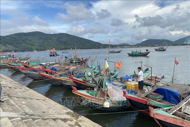Tàu thuyền nhỏ của ngư dân neo đậu tại cảng cá Cửa Nhượng. Ảnh: Hữu Quyết – TTXVN