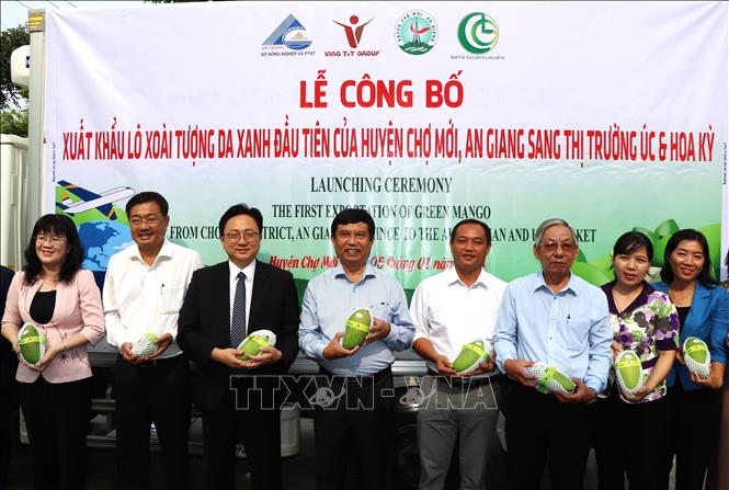 Lễ công bố xuất khẩu lô xoài tượng xanh đầu tiên của tỉnh An Giang xuất sang thị trường Úc và Hoa Kỳ (6/1/2024). Ảnh: Thanh Sang -TTXVN.