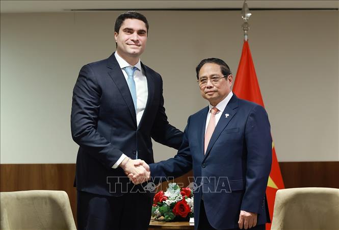 Thủ tướng Phạm Minh Chính tiếp lãnh đạo Tập đoàn khai thác khoáng sản Vale. Ảnh: Dương Giang-TTXVN 
