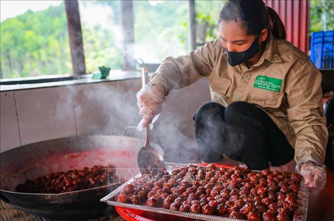 Fresh plums turn to attractive mahogany colour after being sautéd. VNA Photo: Hoàng Hiếu