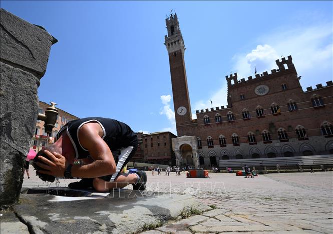 Một người đàn ông làm mát tại đài phun nước ở Siena, Italy. Ảnh: THX/TTXVN