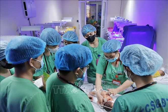 Tại đây, các thực tập sinh có điều kiện học tập trực tiếp từ kinh nghiệm thực tế. Ảnh: Minh Quyết - TTXVN