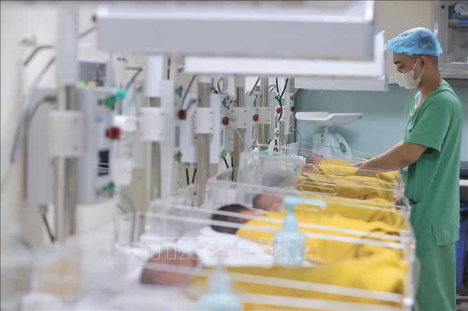Điều dưỡng chăm sóc trẻ sơ sinh bệnh lý tại Trung tâm sơ sinh (Bệnh viện Phụ sản Trung ương). Ảnh: Minh Quyết – TTXVN