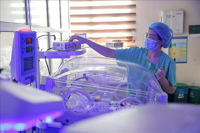 Điều dưỡng chăm sóc trẻ sơ sinh bệnh lý tại Trung tâm sơ sinh (Bệnh viện Phụ sản Trung ương). Ảnh: Minh Quyết – TTXVN