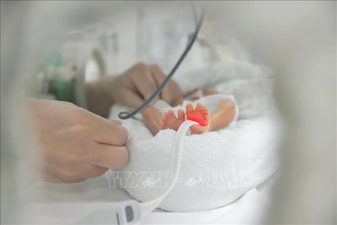Việc chăm sóc, điều trị và nuôi dưỡng các bé sinh non, nhẹ cân vô cùng khó khăn, hết sức tỉ mỉ, khoa học, các bác sĩ phải theo dõi từng phút, từng giờ trong các điều kiện ngặt nghèo về vệ sinh và y tế. Ảnh: Minh Quyết - TTXVN