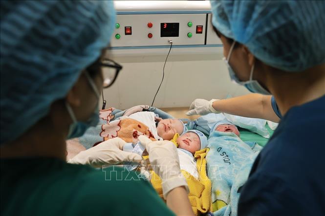 Việc chăm sóc cho trẻ sơ sinh hết sức tỉ mỉ, khoa học. Ảnh: Minh Quyết - TTXVN